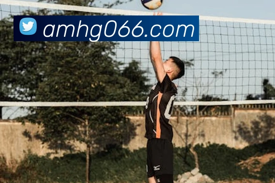 皇冠娱乐平台生态图